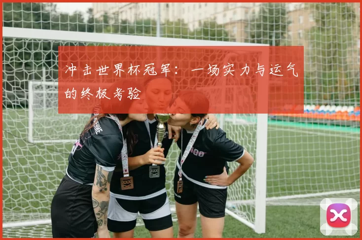 冲击世界杯冠军:一场实力与运气的终极考验