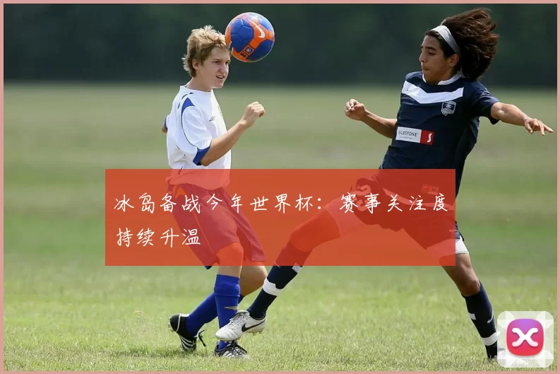 冰岛备战今年世界杯:赛事关注度持续升温