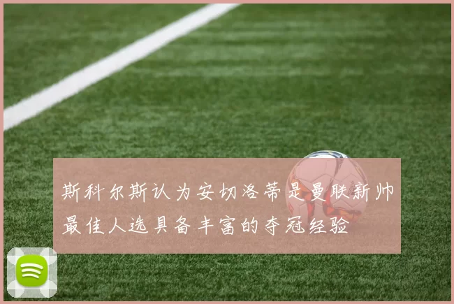 斯科尔斯认为安切洛蒂是曼联新帅最佳人选具备丰富的夺冠经验