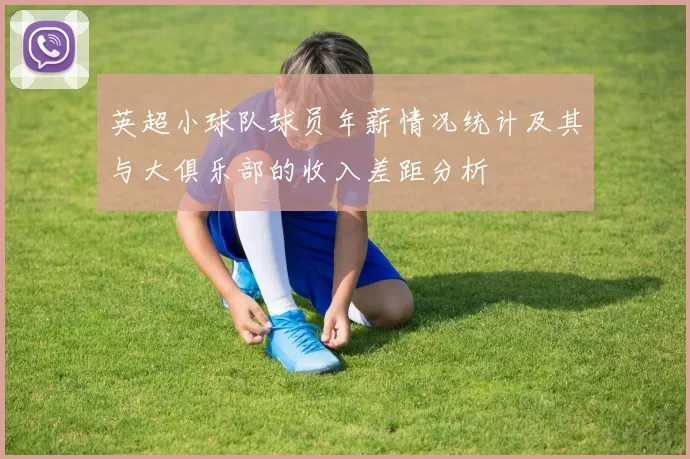 英超小球队球员年薪情况统计及其与大俱乐部的收入差距分析
