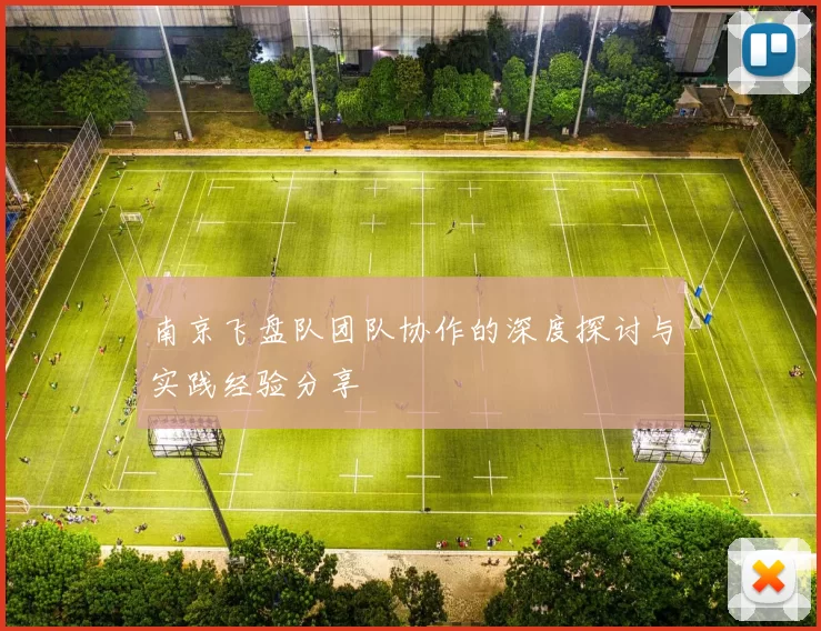 南京飞盘队团队协作的深度探讨与实践经验分享