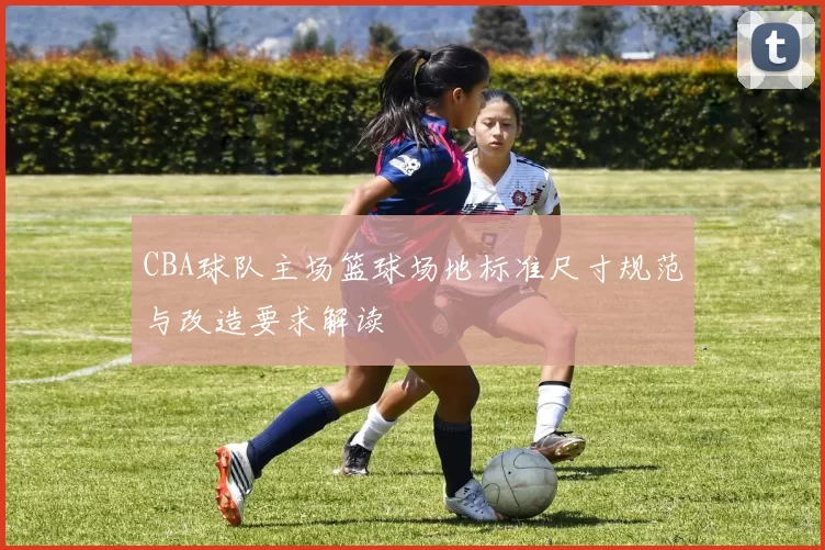 CBA球队主场篮球场地标准尺寸规范与改造要求解读