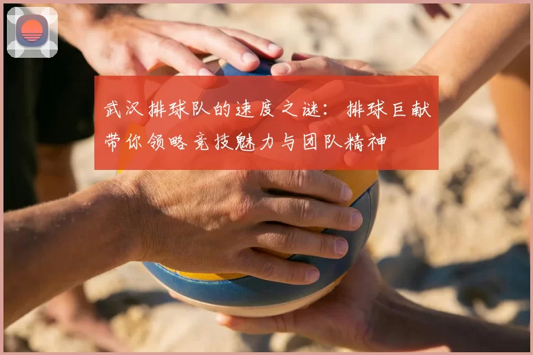 武汉排球队的速度之谜:排球巨献带你领略竞技魅力与团队精神