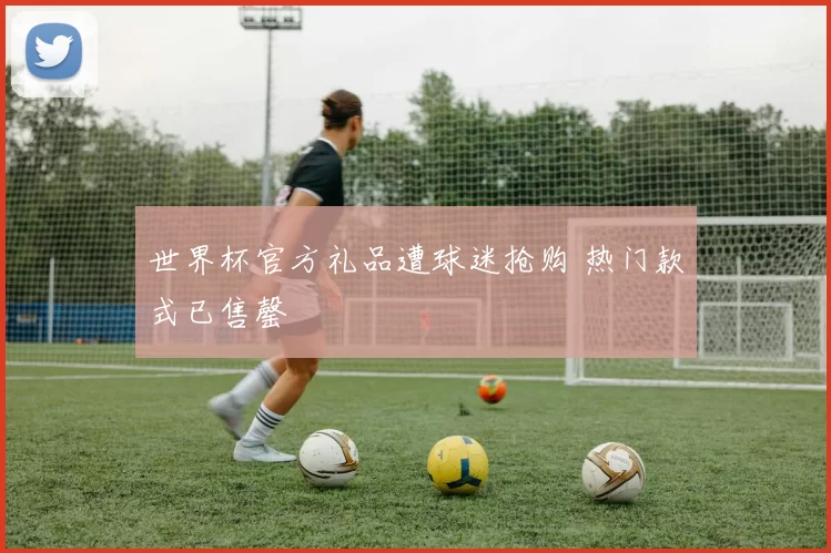 世界杯官方礼品遭球迷抢购 热门款式已售罄