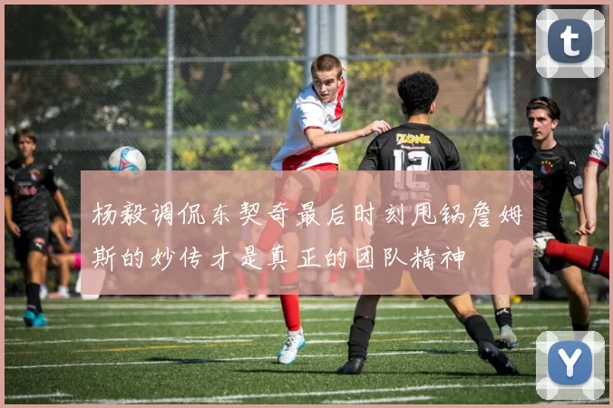 杨毅调侃东契奇最后时刻甩锅詹姆斯的妙传才是真正的团队精神
