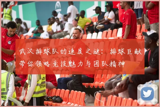 武汉排球队的速度之谜:排球巨献带你领略竞技魅力与团队精神
