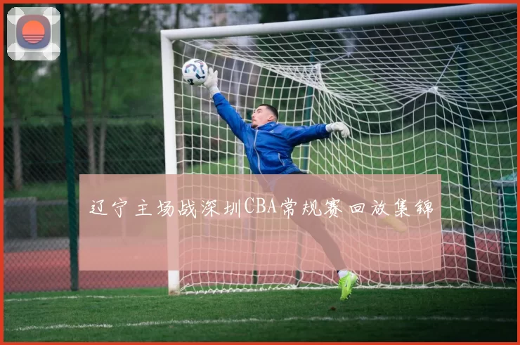 辽宁主场战深圳CBA常规赛回放集锦
