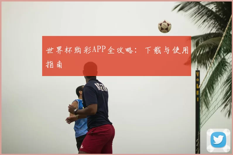 世界杯购彩APP全攻略:下载与使用指南