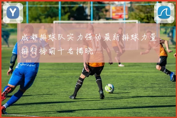 成都排球队实力强劲最新排球力量排行榜前十名揭晓