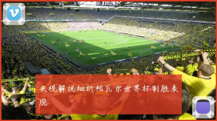 央视解说细析帕瓦尔世界杯制胜表现