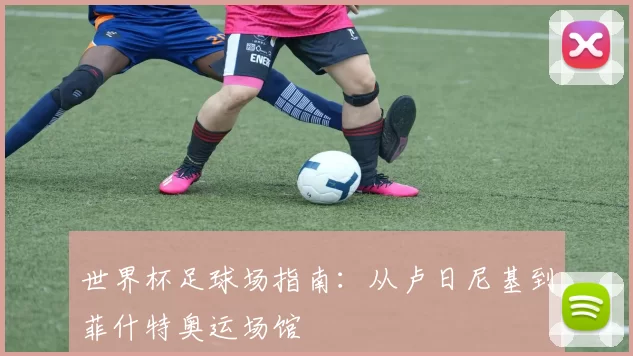 世界杯足球场指南:从卢日尼基到菲什特奥运场馆