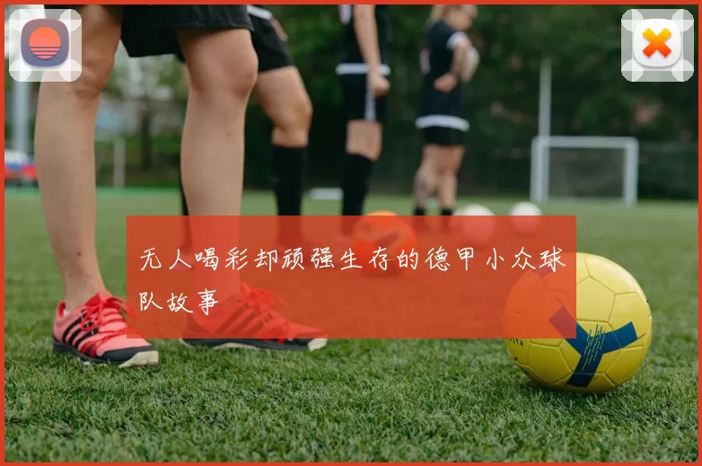 无人喝彩却顽强生存的德甲小众球队故事