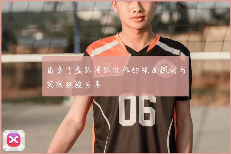 南京飞盘队团队协作的深度探讨与实践经验分享