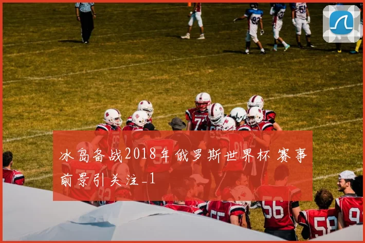 冰岛备战2018年俄罗斯世界杯 赛事前景引关注_1